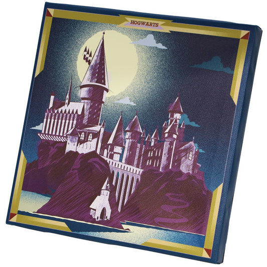 USJ - The Wizarding World of Harry Potter - Lightup art board
