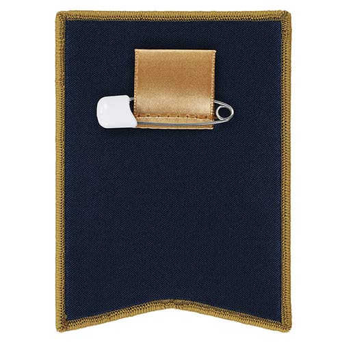 TDR - Fantasy Spring 2025 - Badge