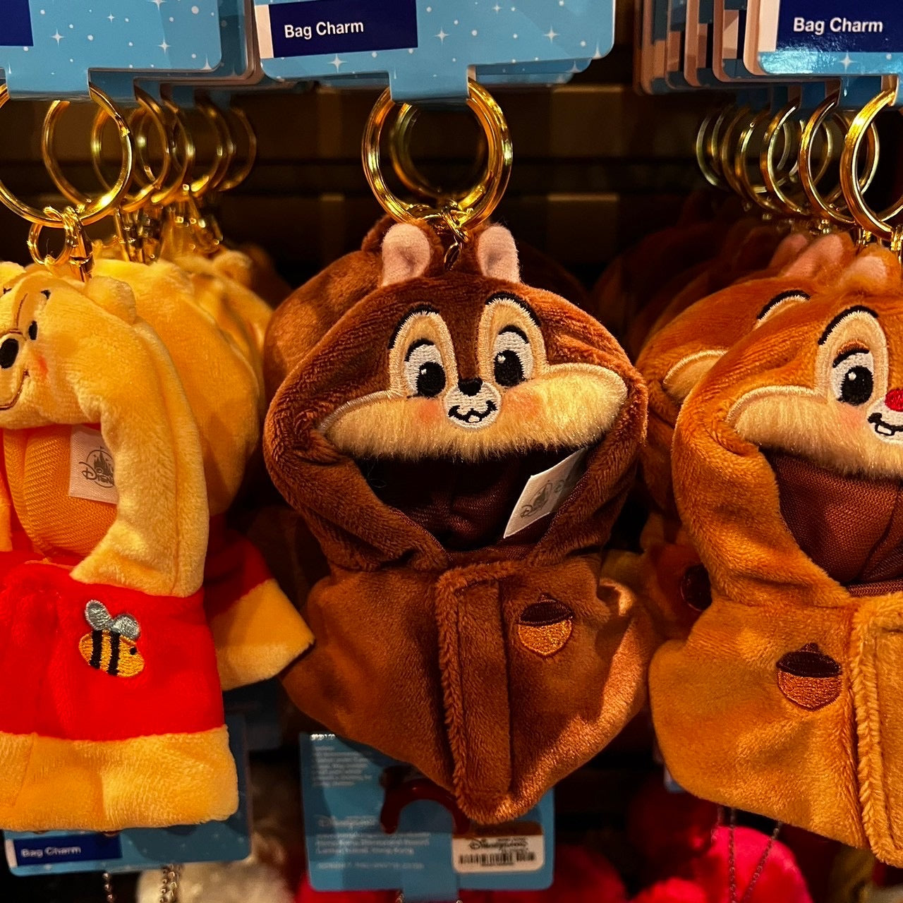 HKDL - Chip keychain