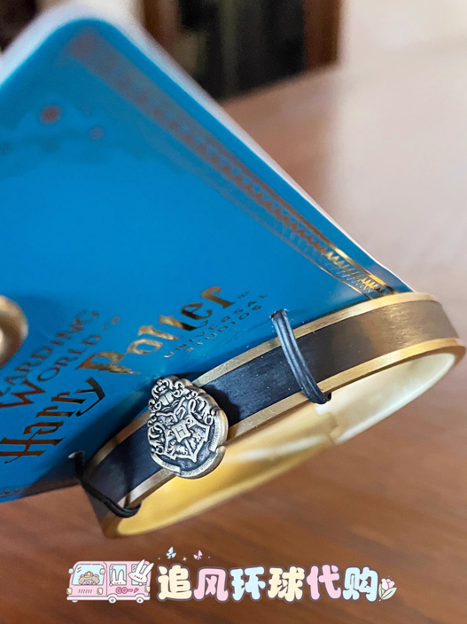 USB - Harry Potter - Bangle