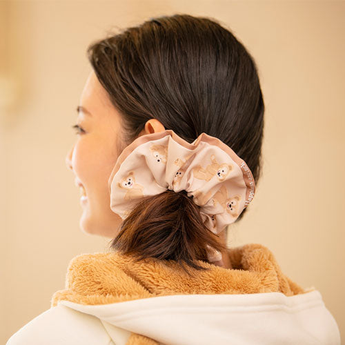 TDR - Duffy and friends Hair Accessories