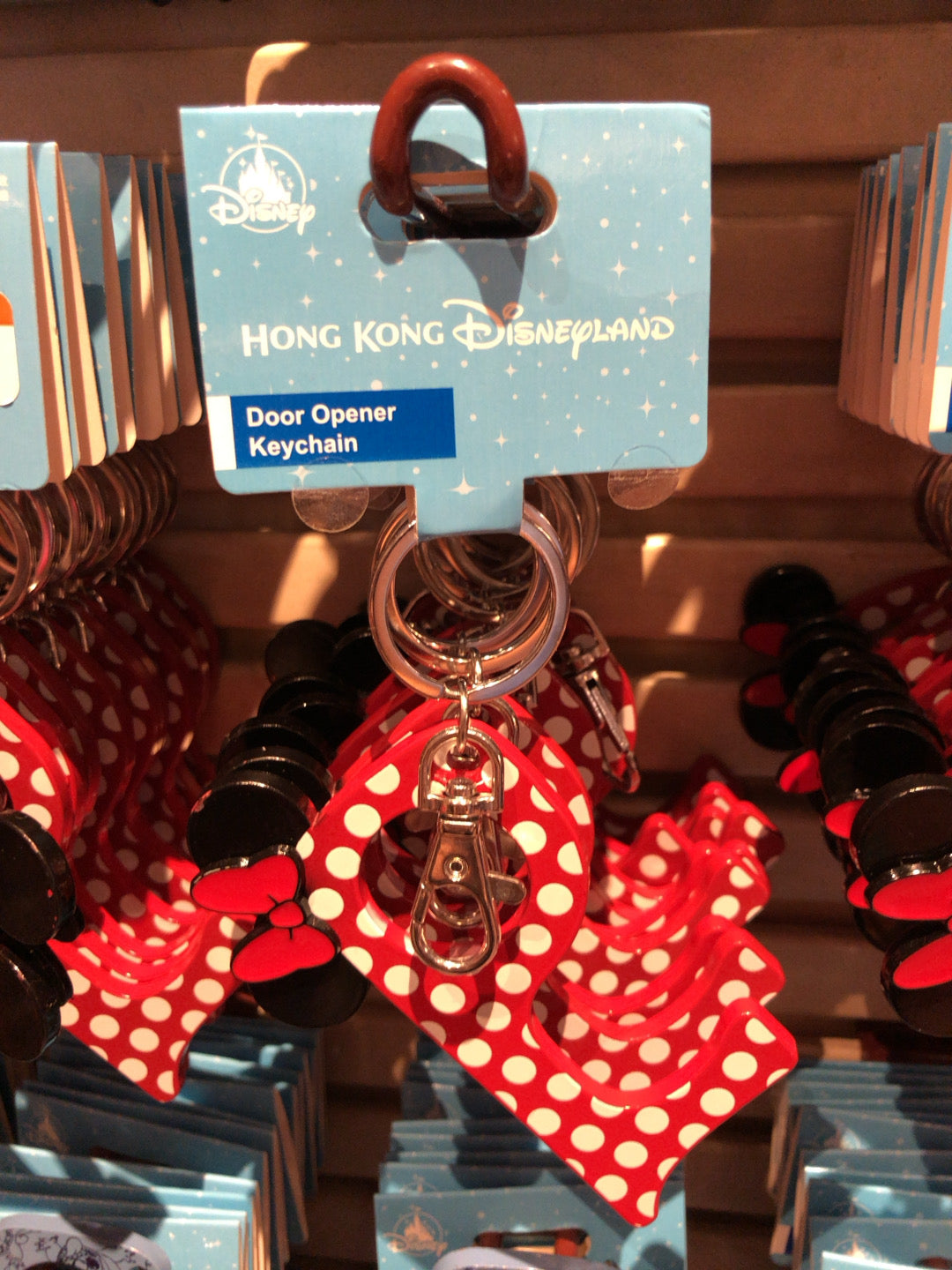 HKDL - Touchless multi purpose keychain