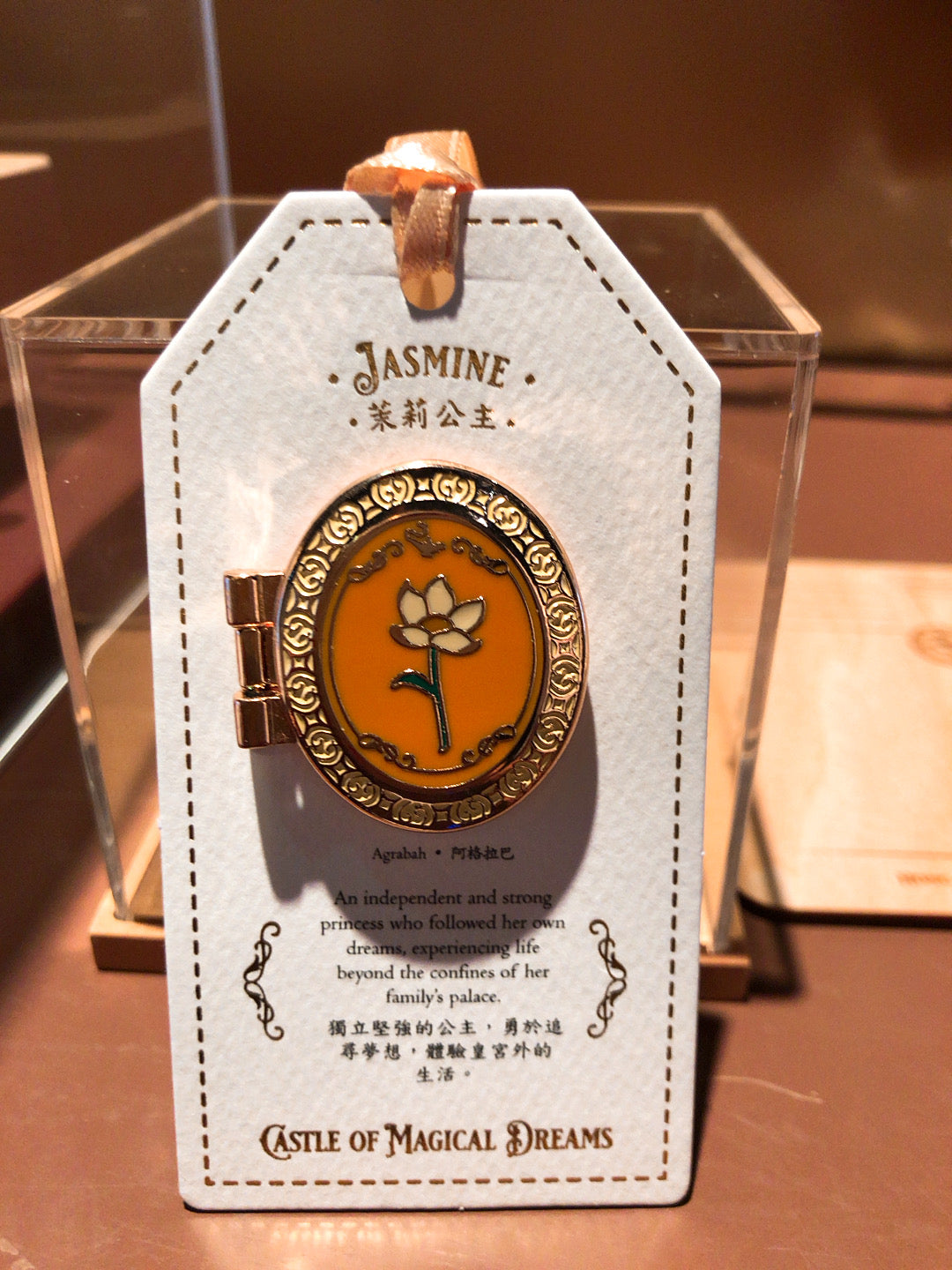 HKDL - Princess Castle of Dreams Pin