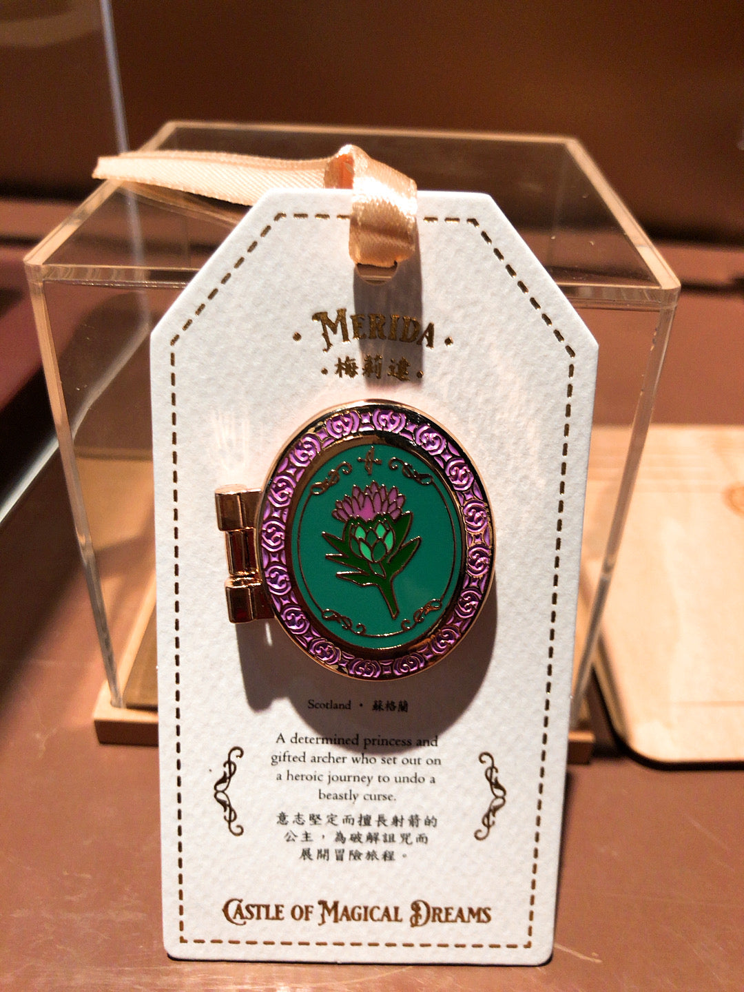 HKDL - Princess Castle of Dreams Pin