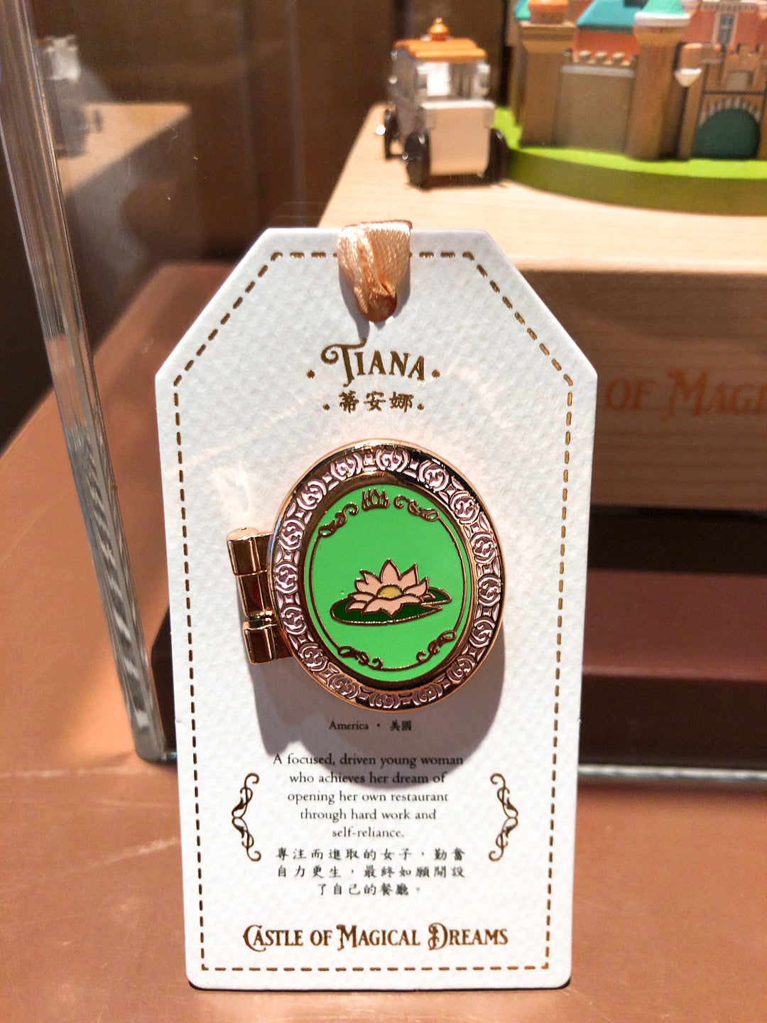 HKDL - Princess Castle of Dreams Pin