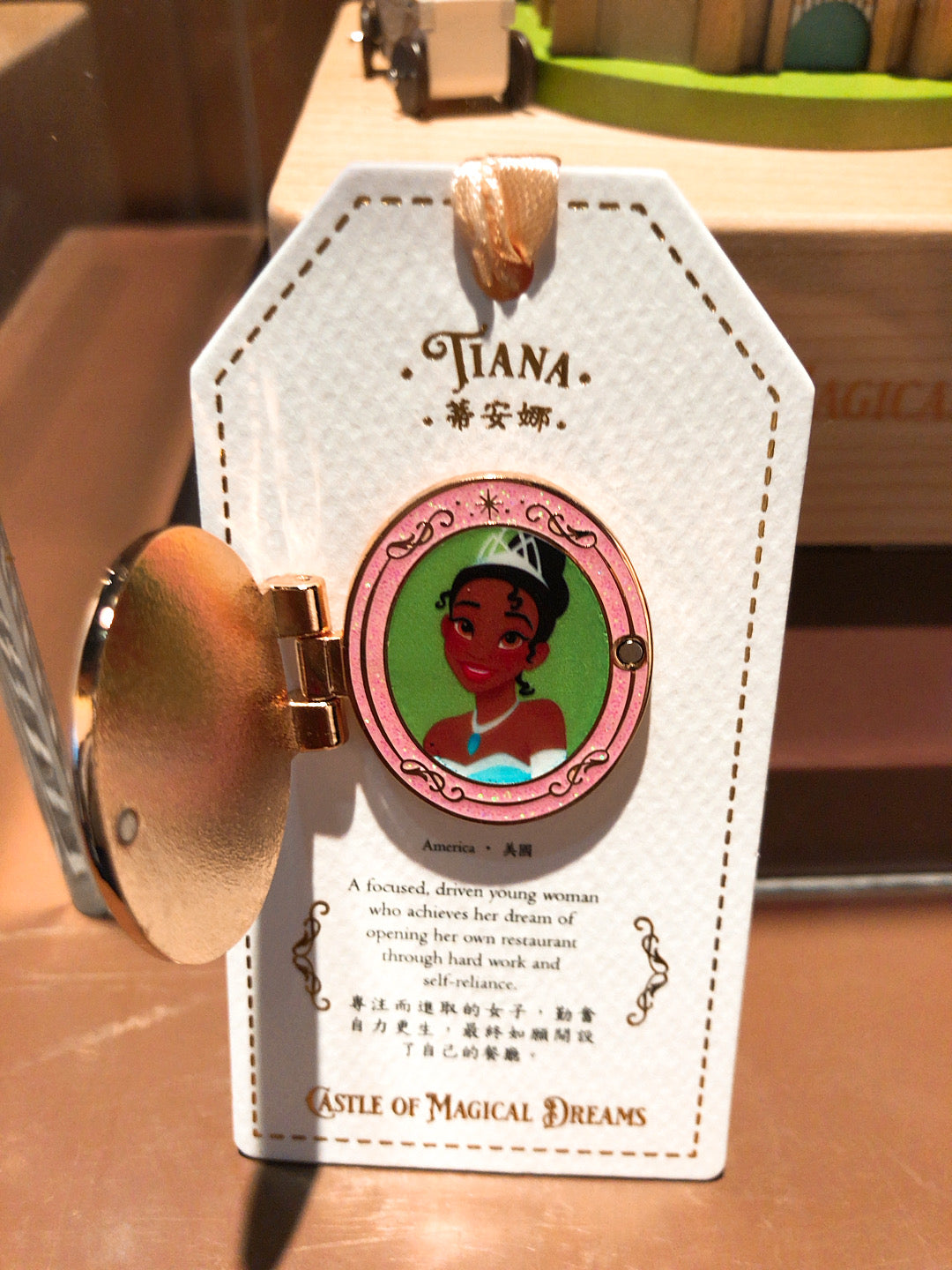 HKDL - Princess Castle of Dreams Pin