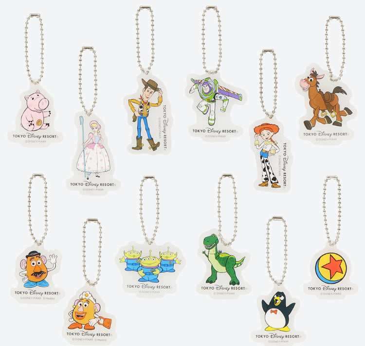 TDR - Toy Story Keychain set (12 pieces)