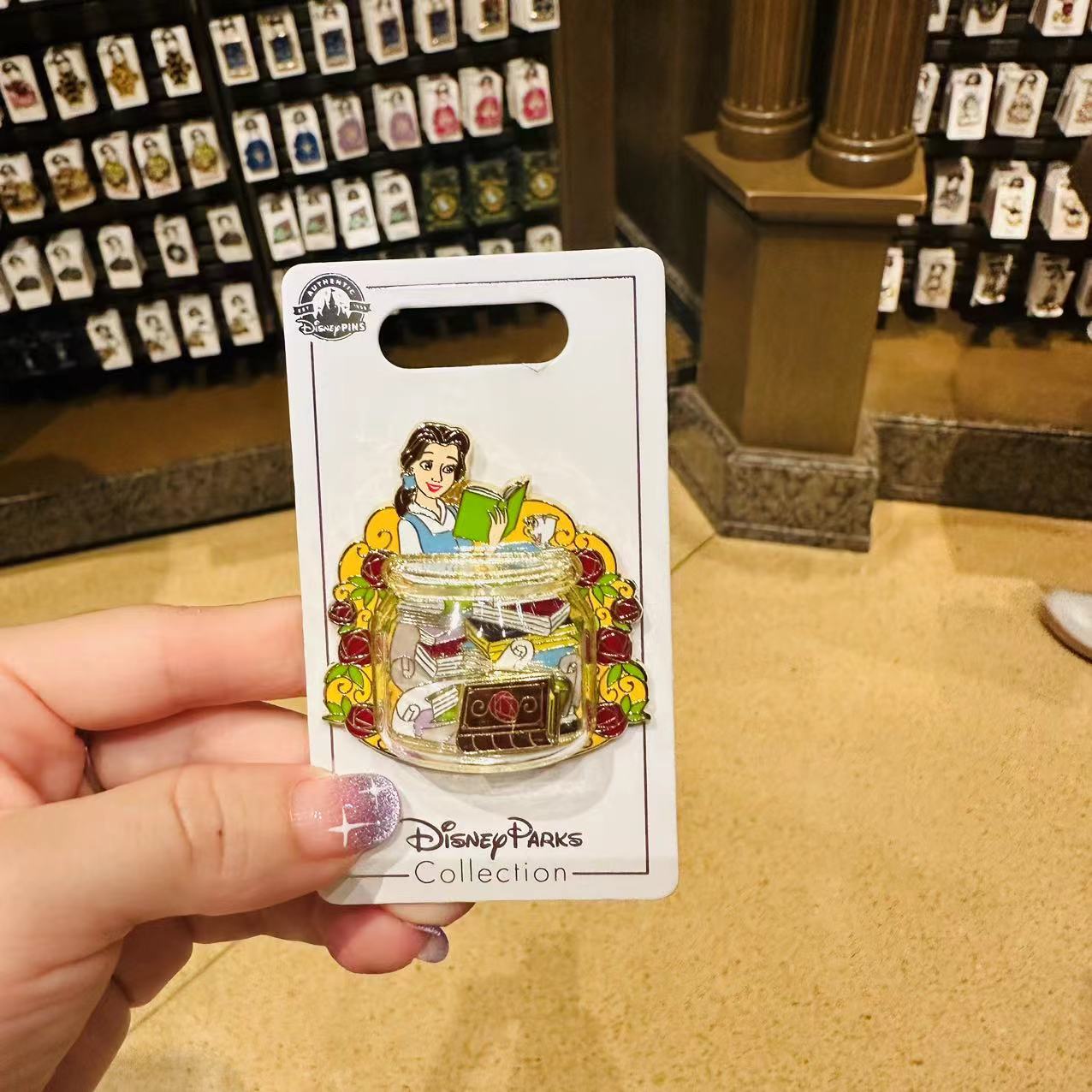 SHDL - Beauty and Beast pin