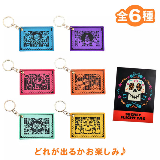 SDJ - Remember me - random keychain