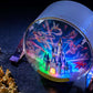 TDR - Reach for the Stars - Light up Popcorn bucket