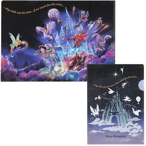 TDR - Clear file set