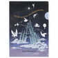 TDR - Clear file set