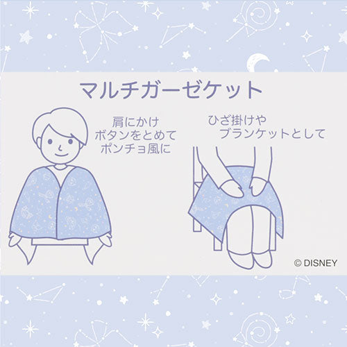 TDR - Duffy and friends Starry Night Collection - Blanket