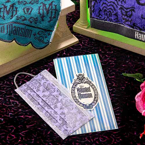 TDR - Haunted Mansion Collection - Face mask with folder