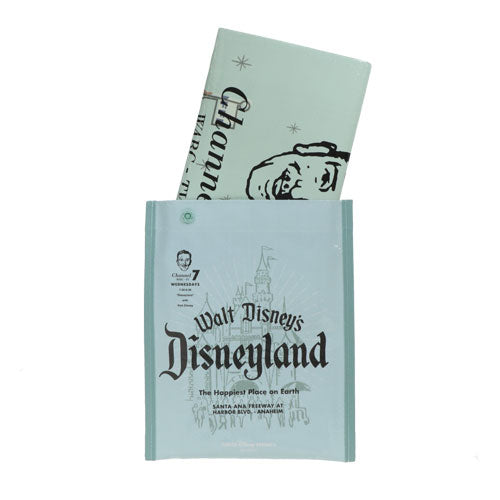 TDR - Disney 100 Anniversary - Picnic mat