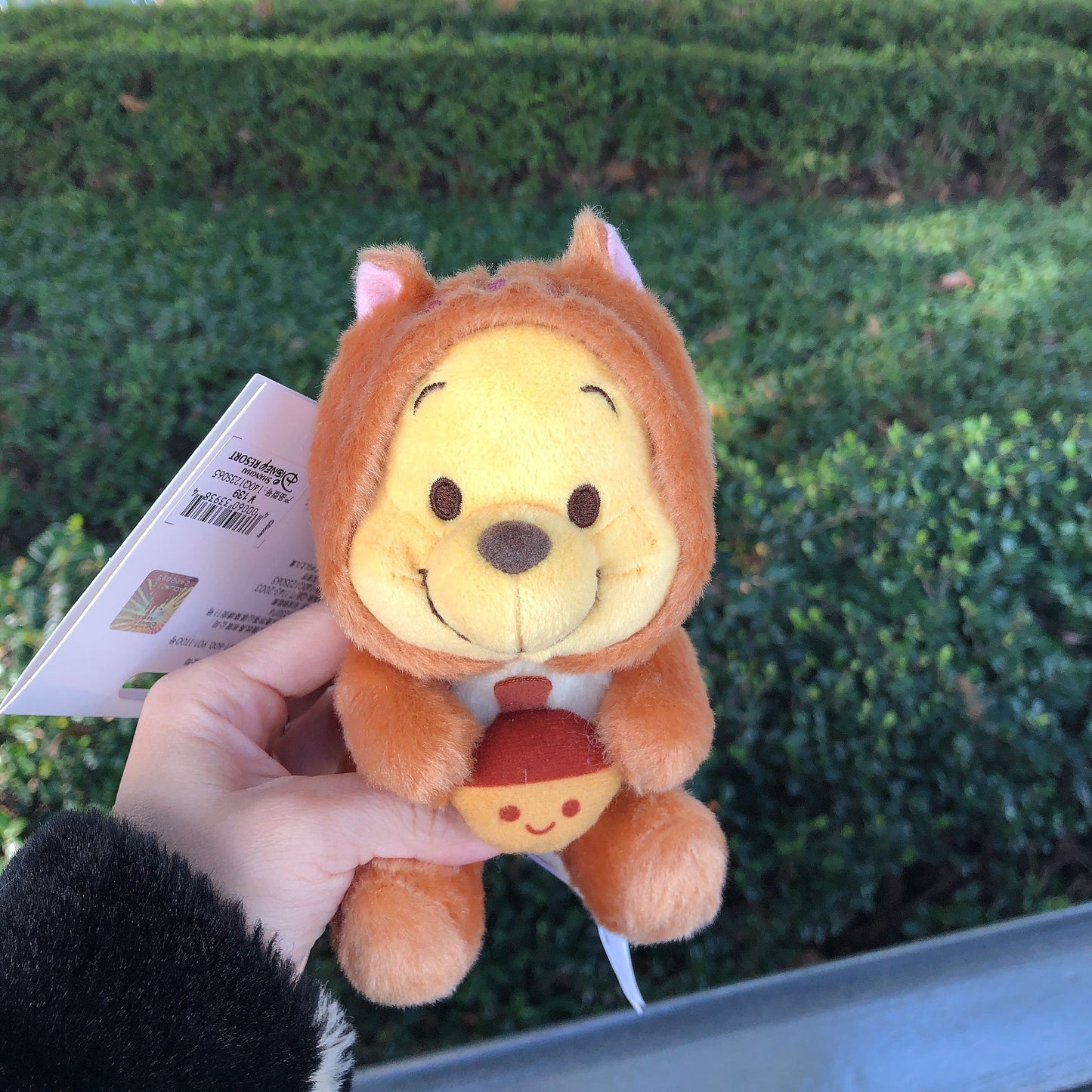 SHDL - Winnie the Pooh Squirrel Keychain Plush