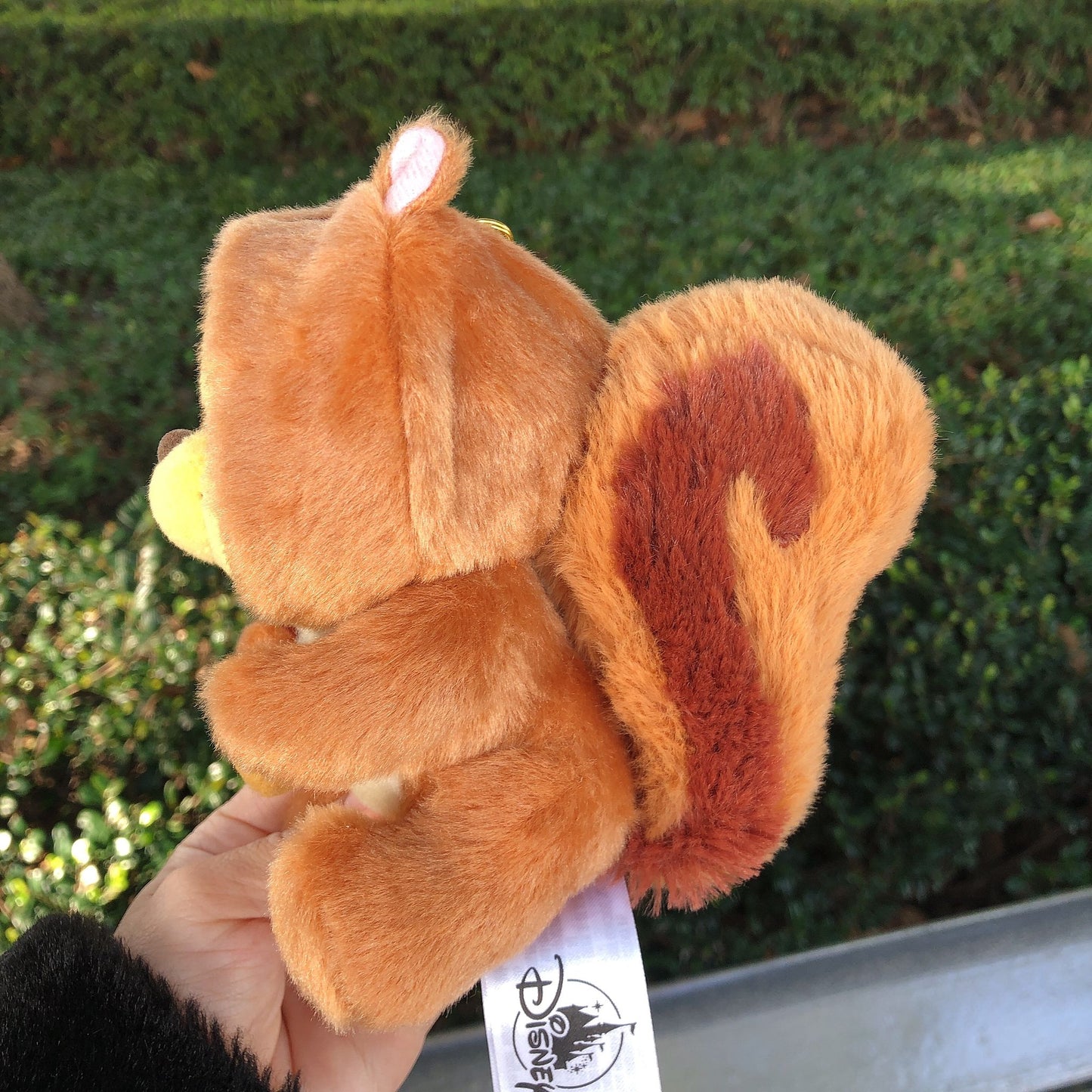 SHDL - Winnie the Pooh Squirrel Keychain Plush