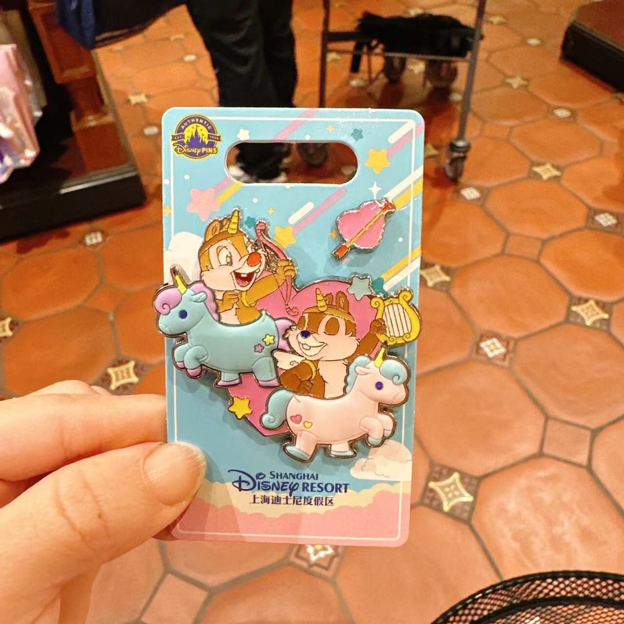 SHDL - Make Your Own Magic Collection - Chip & Dale Pin