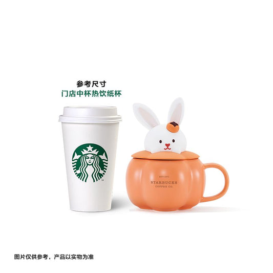 China Starbucks - 355ml Mug
