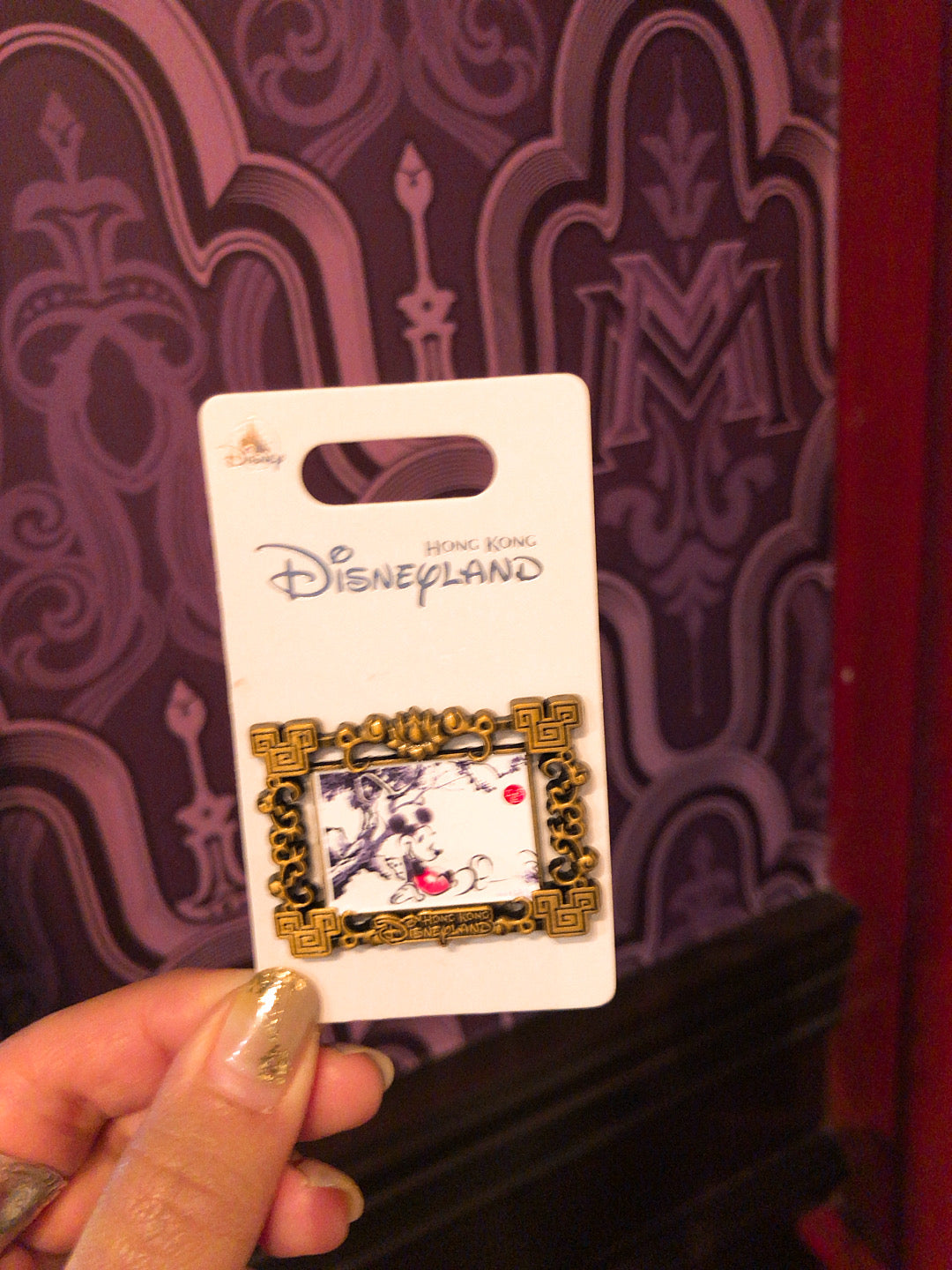 HKDL - Chinese painting pin