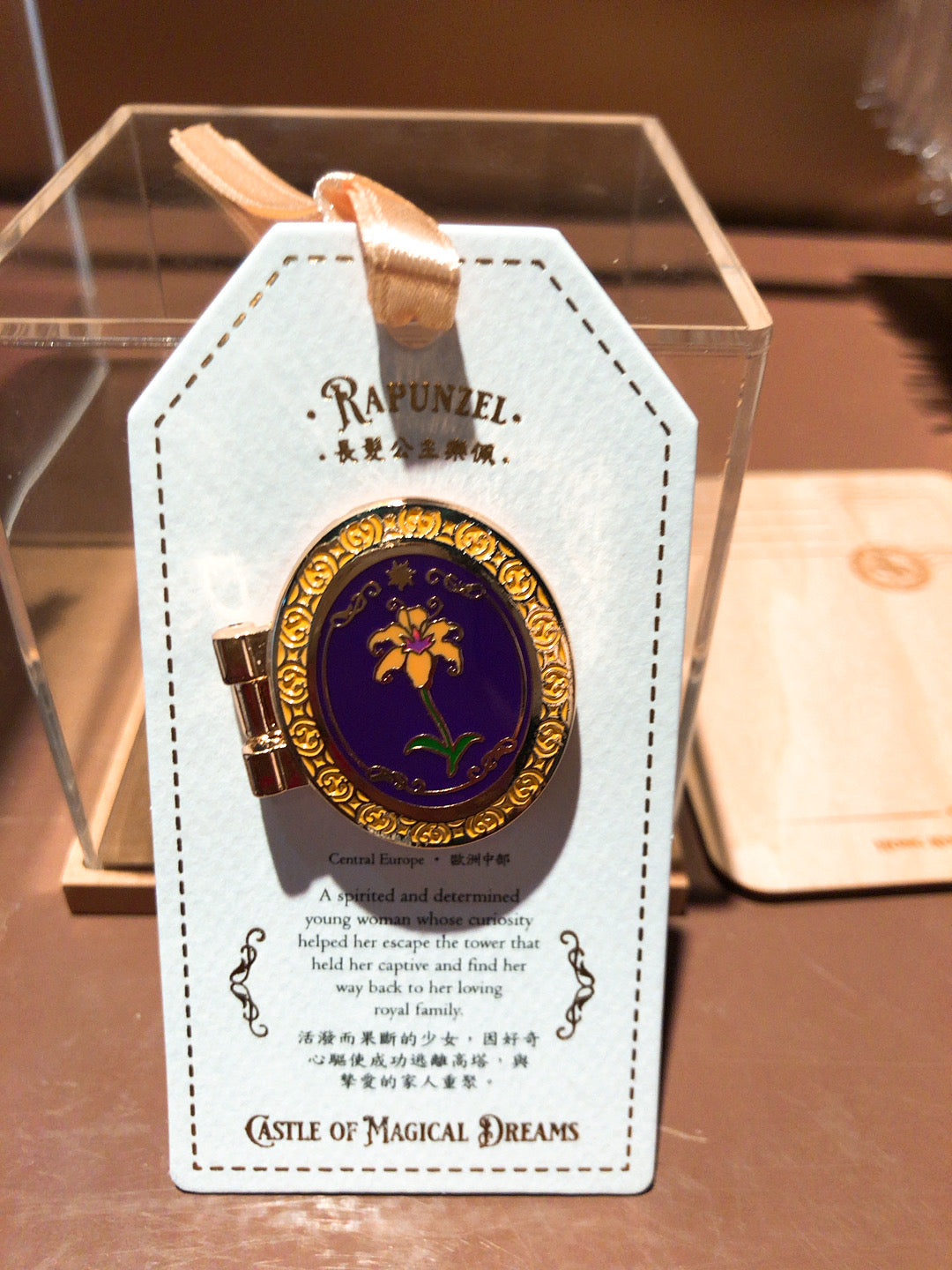 HKDL - Princess Castle of Dreams Pin