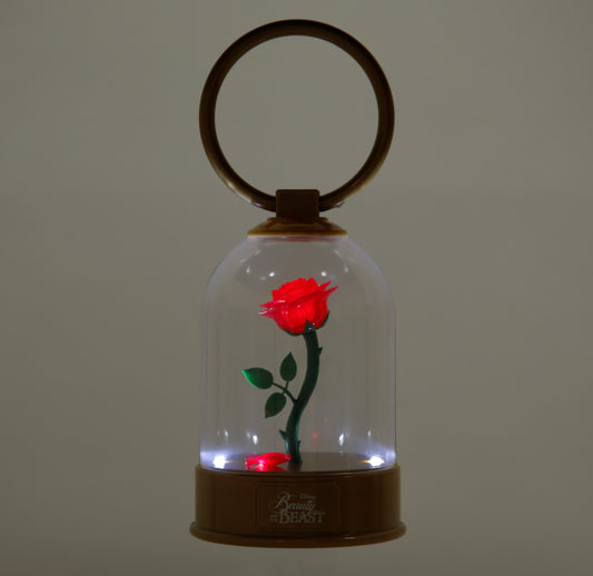 TDR - lantern