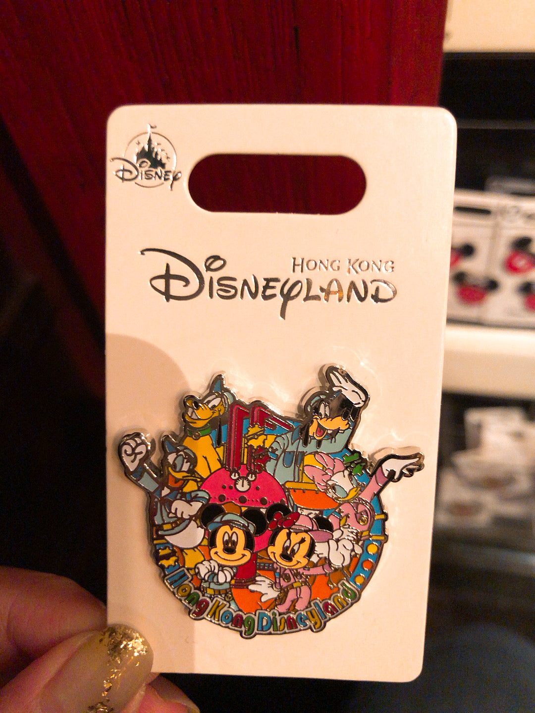 HKDL - Hong Kong park exclusive - Pin