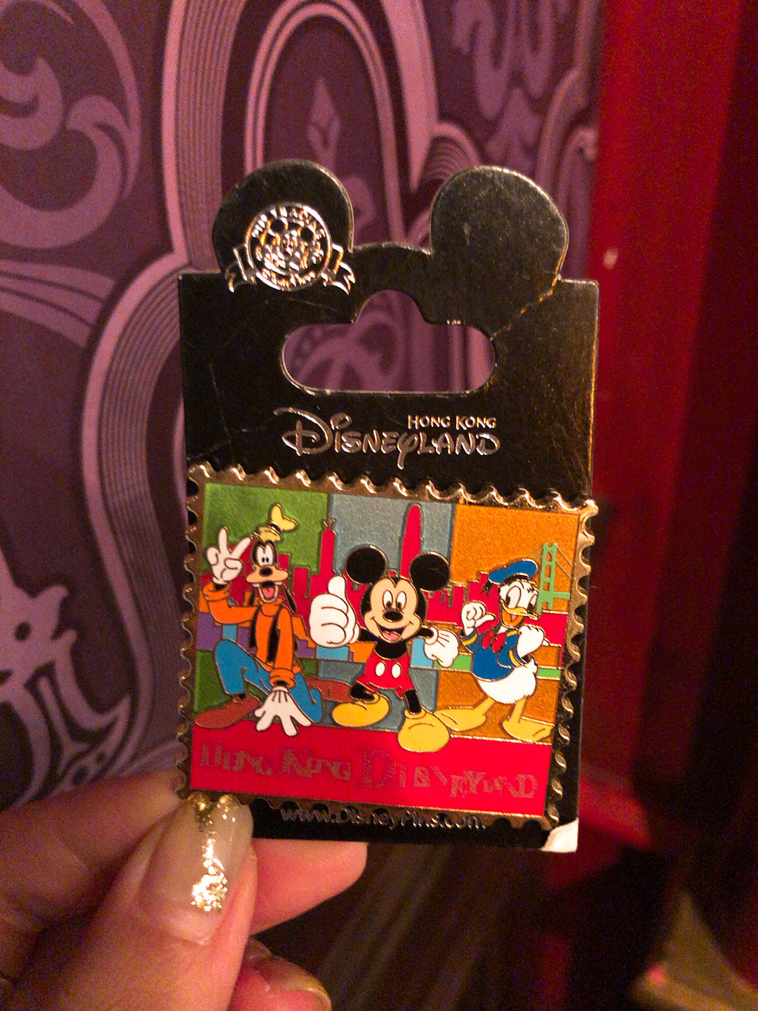 HKDL - Hong Kong park exclusive - Pin