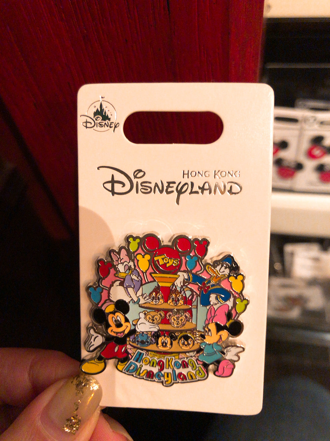 HKDL - Hong Kong park exclusive - Pin