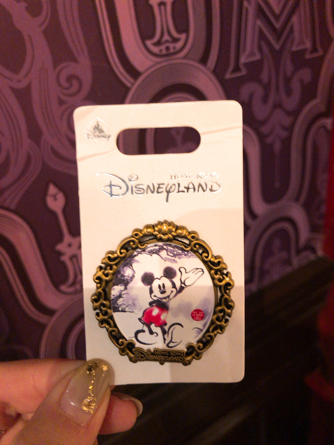 HKDL - Chinese painting pin