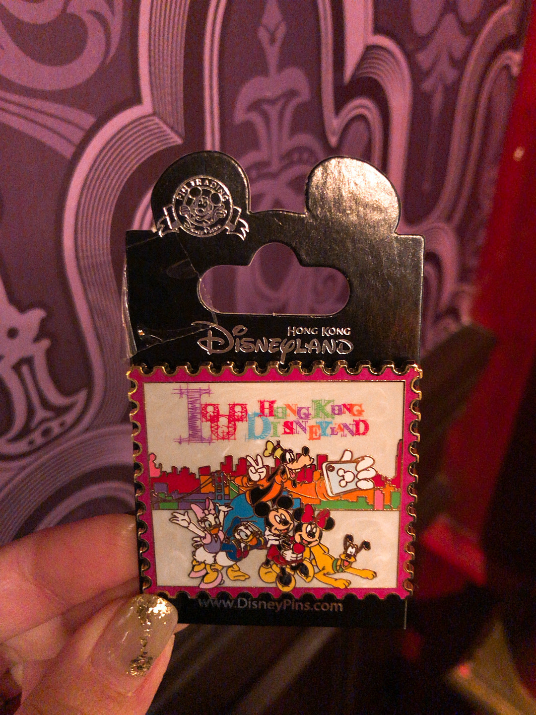 HKDL - Hong Kong park exclusive - Pin