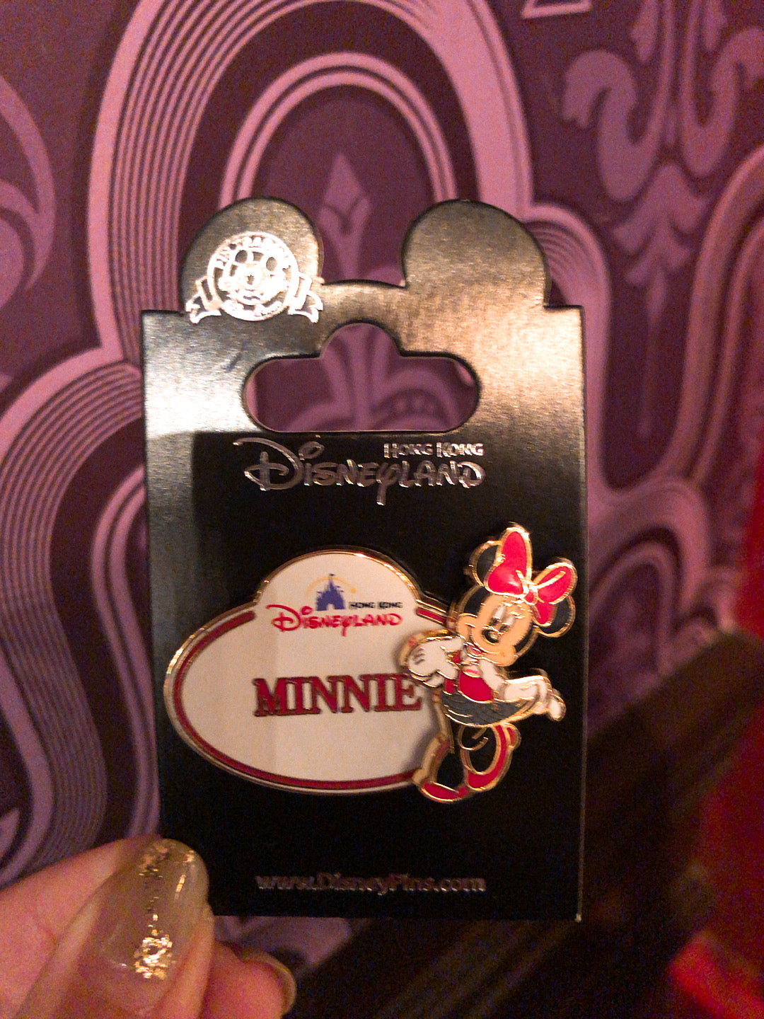 HKDL - Hong Kong park exclusive - Pin