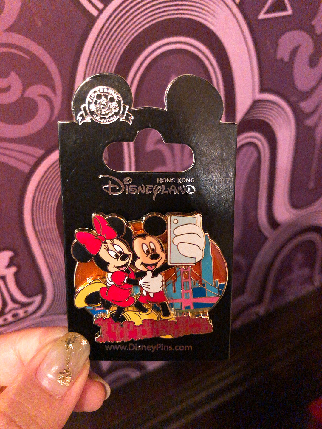 HKDL - Hong Kong park exclusive - Pin