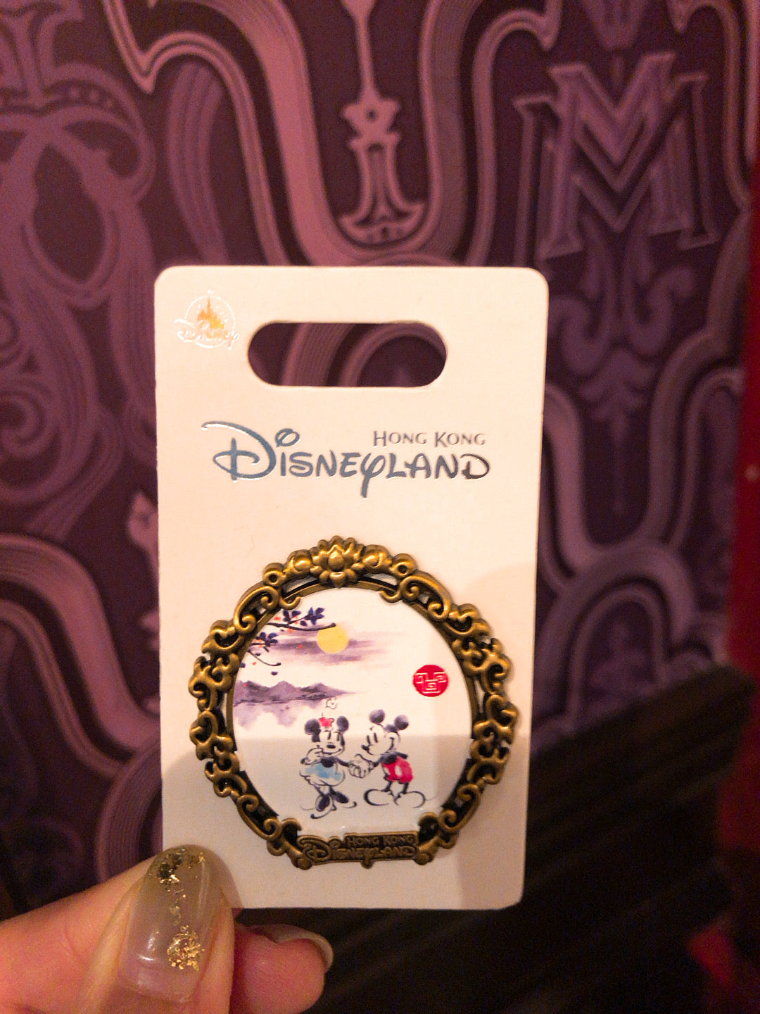 HKDL - Chinese painting pin